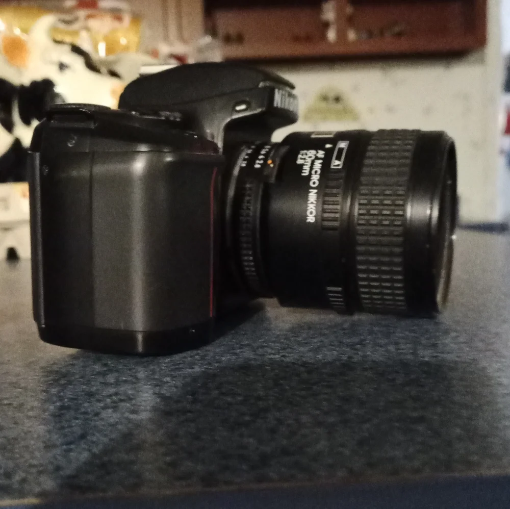 NIKON N6006